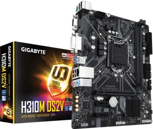 H310M DS2V (Rev. 1.0)